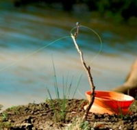 Charleville - Mangalore Warrego River Fishing Spot - Tourism Search