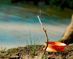 Charleville - Mangalore Warrego River Fishing Spot - Tourism Search 0