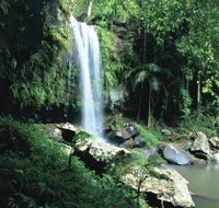 Curtis Falls Joalah Section - Tourism Search