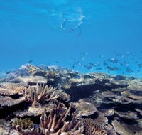 Australian Institute of Marine Science - Tourism Search