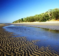 Burrum Coast National Park - Tourism Search