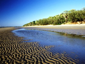 Burrum Coast National Park - Tourism Search 0