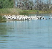 Lake Ross - Tourism Search