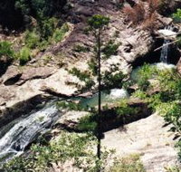 Banksia Track and the Boardwalk - Tourism Search