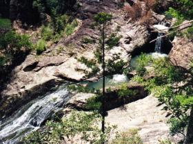 Banksia Track And The Boardwalk - Tourism Search 0