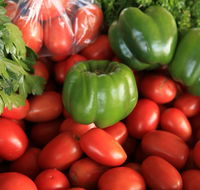 Burleigh Heads Markets - Tourism Search