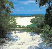 Lake Wabby Track - Tourism Search