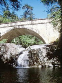 Barringha QLD Tourism Search