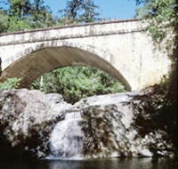 Mount Spec Paluma Range National Park - Tourism Search