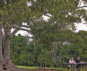 Nutgrove QLD Tourism Search