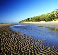 Kinkuna Section - Tourism Search