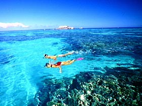 Mission Beach QLD Tourism Search
