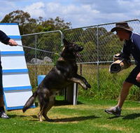 Lawdogs Australia - Tourism Search