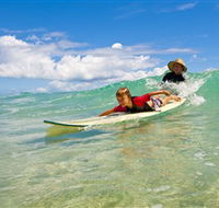 Cylinder Beach North Stradbroke Island - Tourism Search