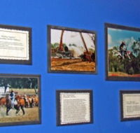 Town Hall Photographic Display - Tourism Search