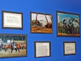Town Hall Photographic Display - Tourism Search 0