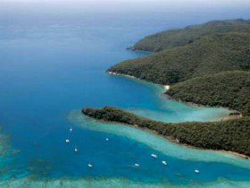 Butterfly Bay - Hook Island - Tourism Search 0