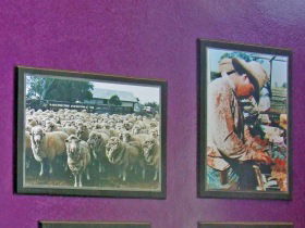 Charleville Photographic Display - Tourism Search 0