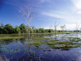 Tyto Wetlands - Tourism Search 0
