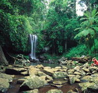 Tamborine National Park - Tourism Search