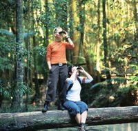 Birdwatching on the Fraser Coast - Tourism Search