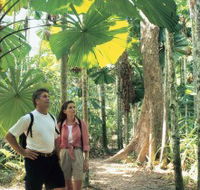 Licuala State Forest - Tourism Search