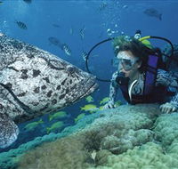 Pelorus Island - Tourism Search