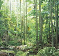 Python Rock - Tourism Search