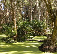 Arkarra Lagoons and Tea Gardens - Tourism Search