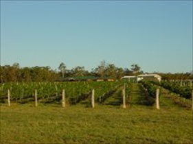 Kingsley Grove Estate - Tourism Search 0