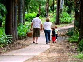 Emerald Botanic Gardens - Tourism Search 0