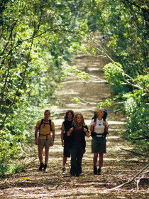 Wet Tropics Great Walk - Tourism Search 0