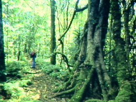 Kalbar QLD Tourism Search