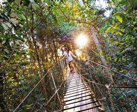 Tree Top Walkway - Tourism Search 0
