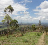 City View Camping and 4WD Park - Tourism Search