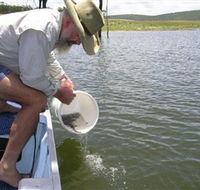 Eungella Dam - Tourism Search