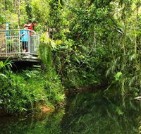 Djiru National Park - Tourism Search