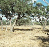 Forest Den National Park - Tourism Search