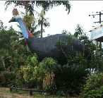 The Big Cassowary - Tourism Search