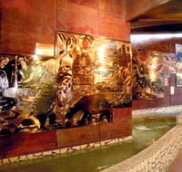 Riversleigh Fossil Centre - Tourism Search