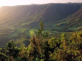 Pine Grove Circuit - Tourism Search 0