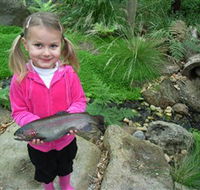 Wild Food Farm  Cafe - Tourism Search