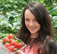 Yarra Valley Gateway Estate - Tourism Search