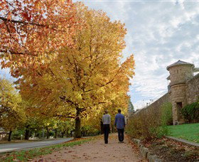 Indigo Gold Trail - Tourism Search 0