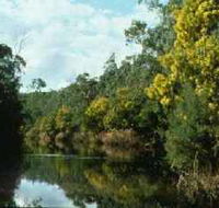 Warrandyte State Park - Tourism Search