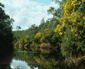 Warrandyte State Park - Tourism Search 0