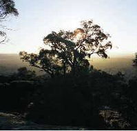 Yarra Flats - Tourism Search