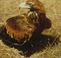 Long Forest Nature Conservation Reserve - Tourism Search