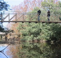 Yea Wetlands - Tourism Search