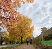 Beechworth Historic Park - Tourism Search